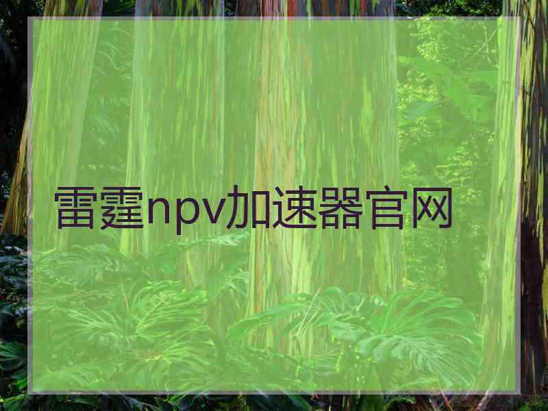 雷霆npv加速器官网