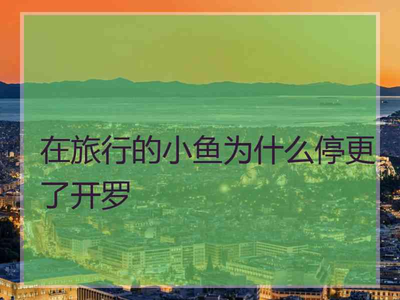在旅行的小鱼为什么停更了开罗