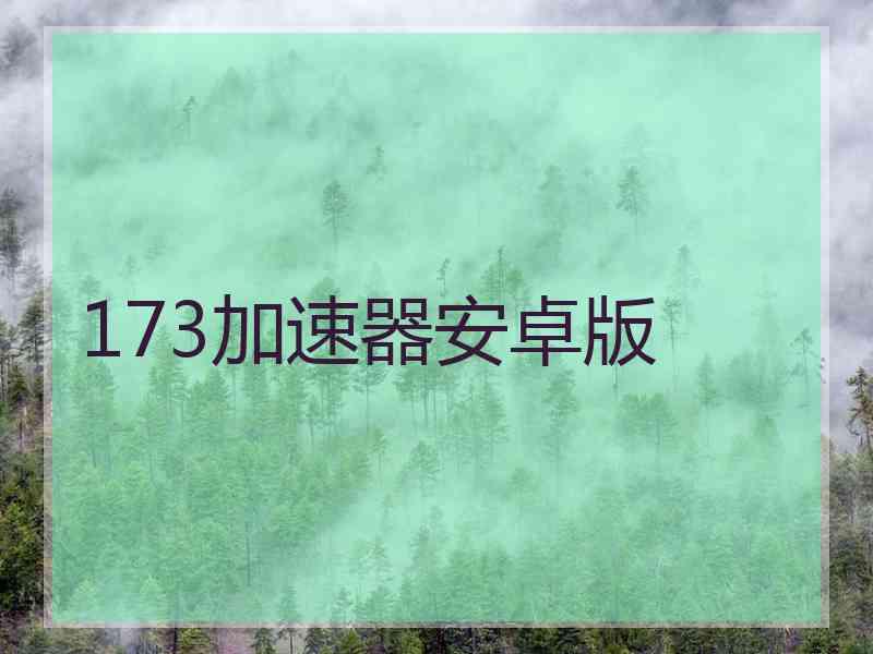 173加速器安卓版