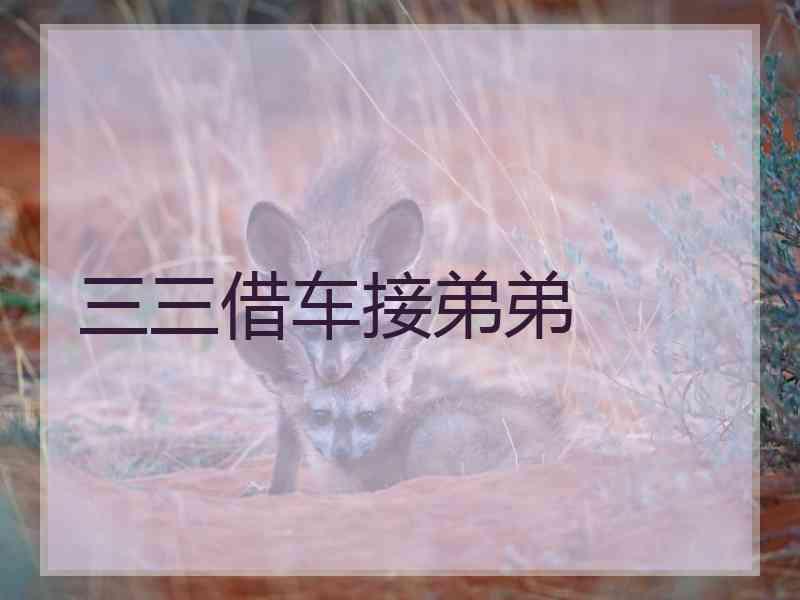 三三借车接弟弟