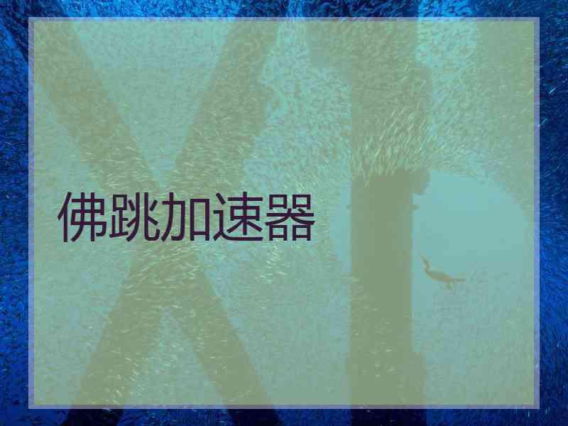 佛跳加速器