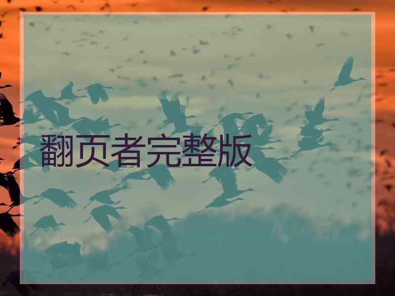翻页者完整版