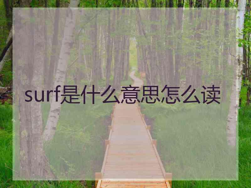 surf是什么意思怎么读
