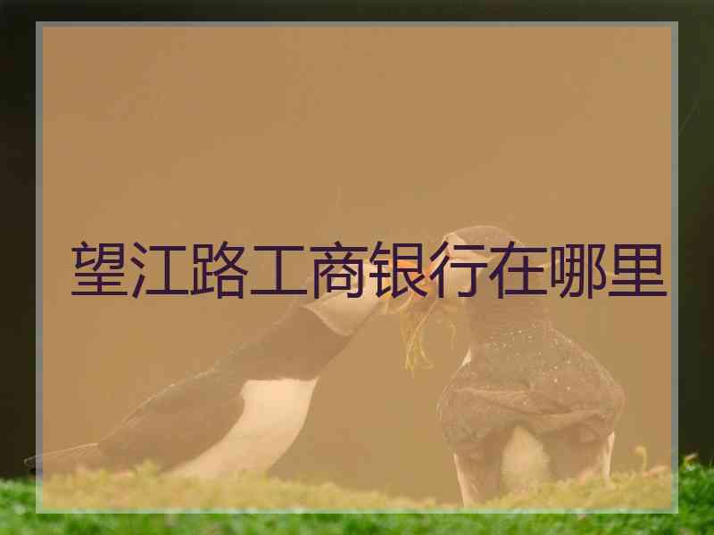 望江路工商银行在哪里