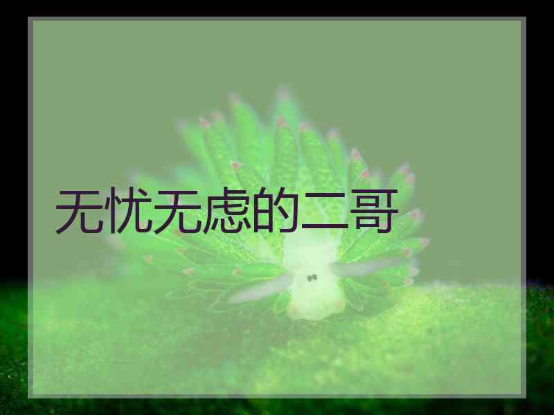 无忧无虑的二哥