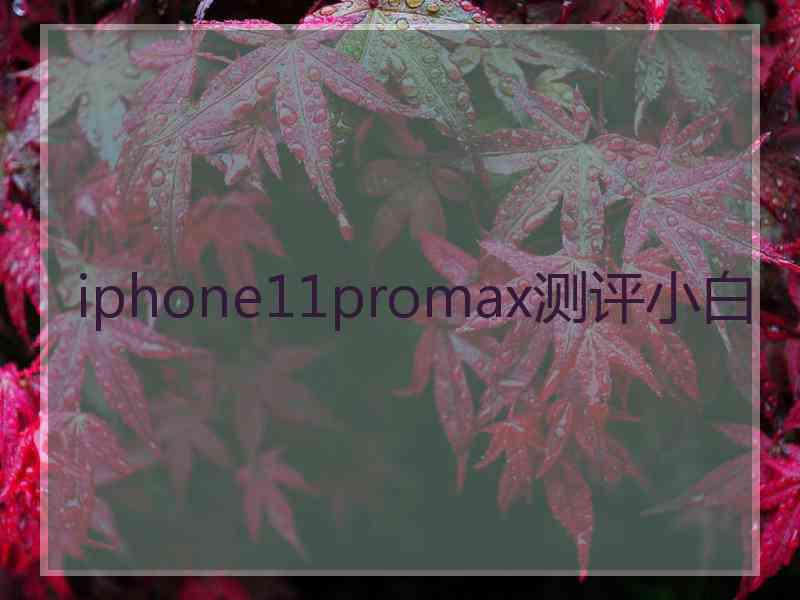 iphone11promax测评小白