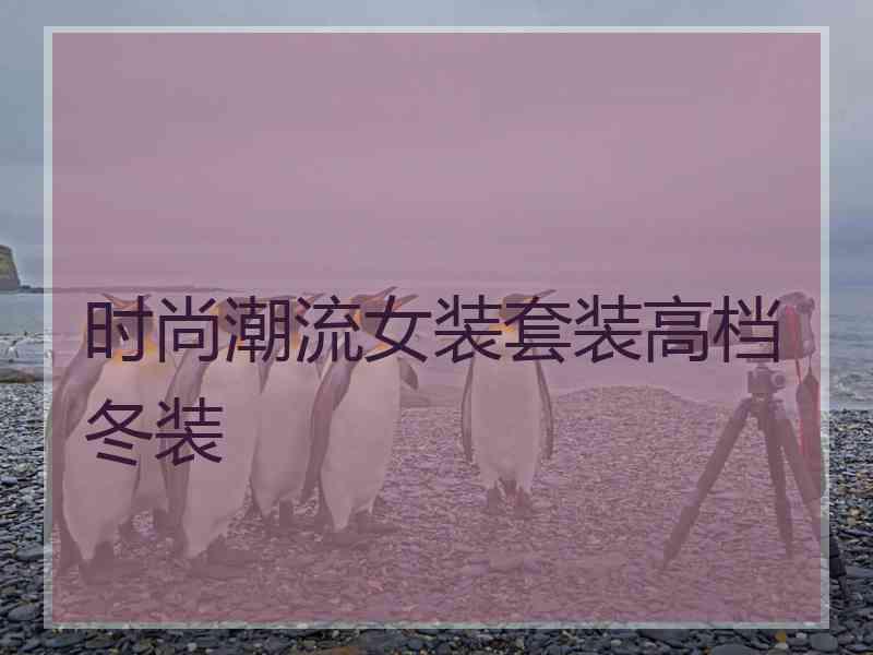 时尚潮流女装套装高档冬装