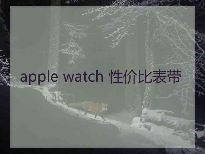 apple watch 性价比表带