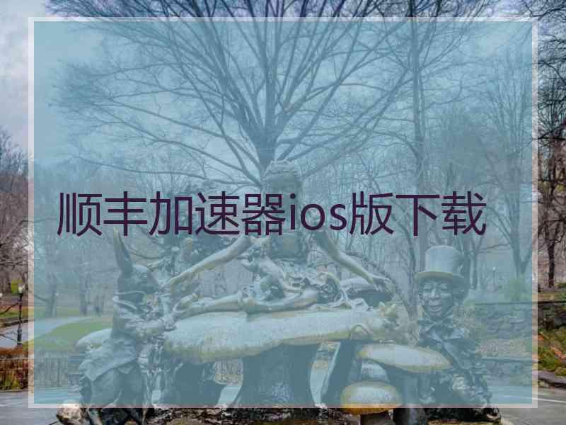 顺丰加速器ios版下载