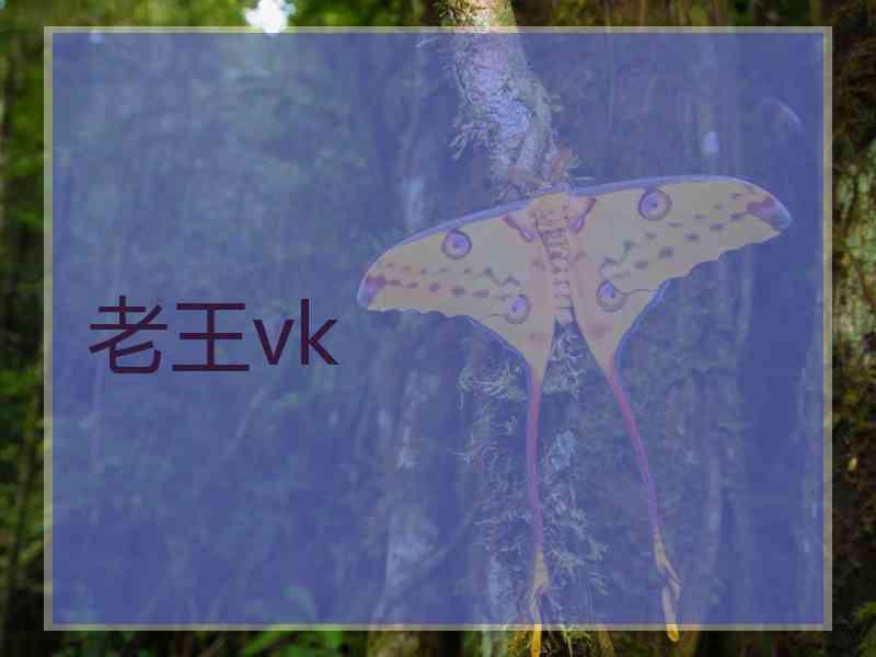 老王vk