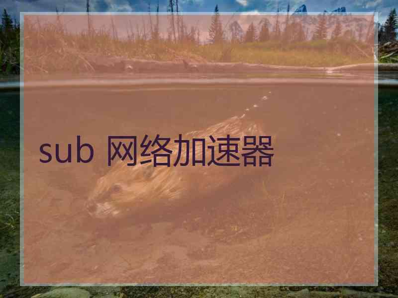 sub 网络加速器