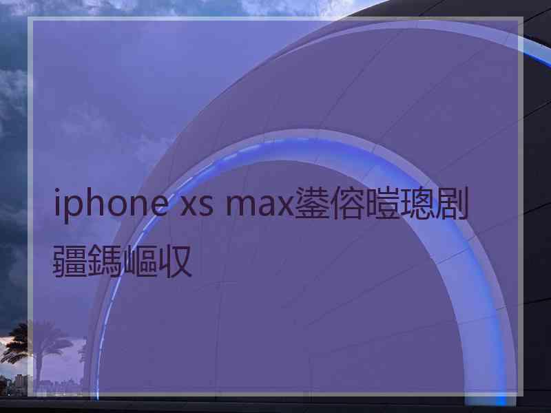 iphone xs max鍙傛暟璁剧疆鎷嶇収