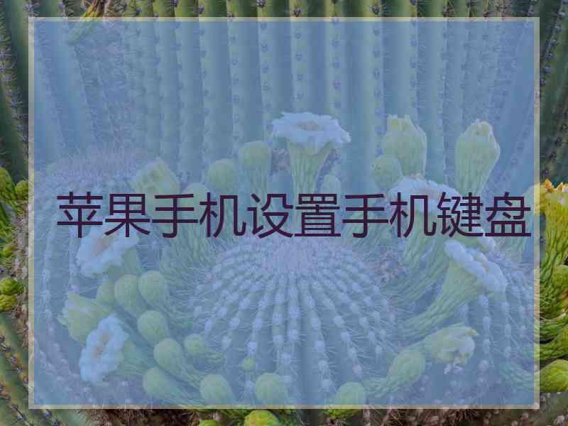 苹果手机设置手机键盘