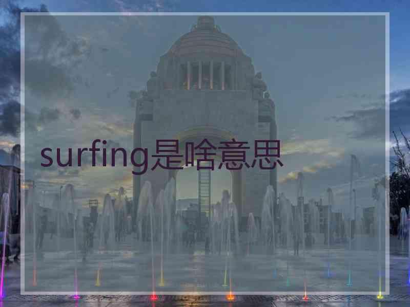surfing是啥意思
