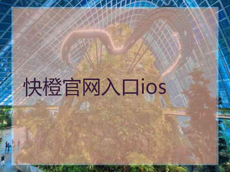 快橙官网入口ios