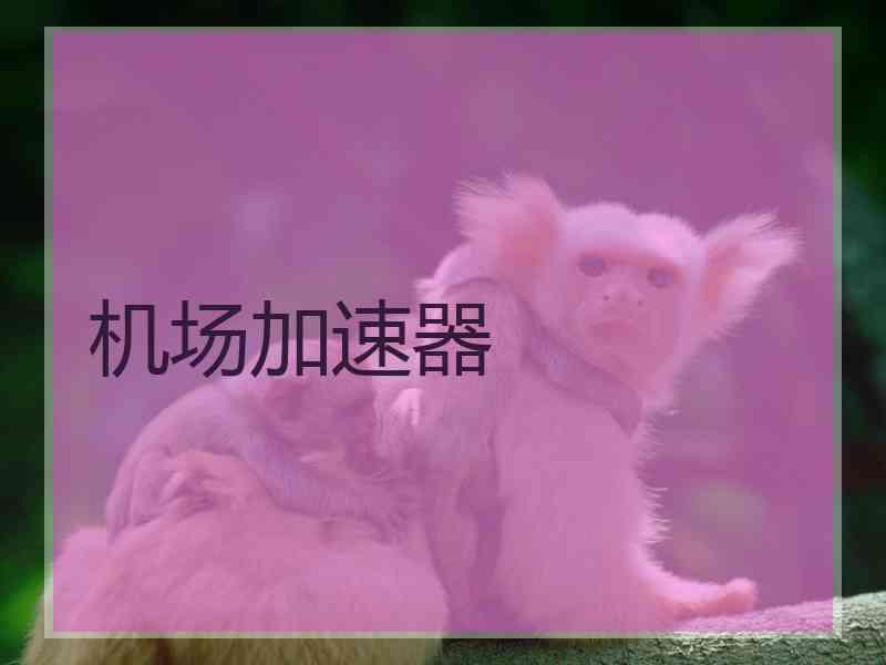机场加速器