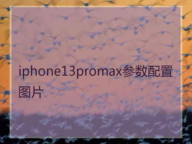 iphone13promax参数配置图片