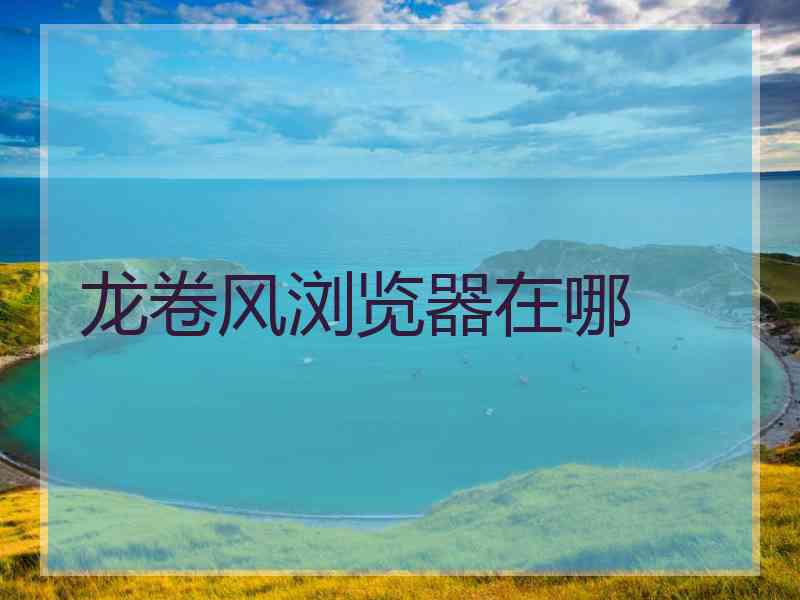 龙卷风浏览器在哪