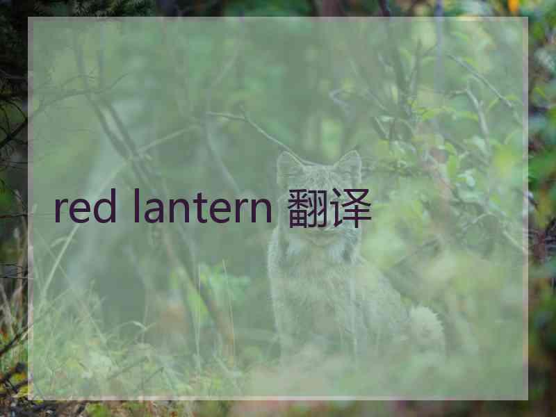 red lantern 翻译