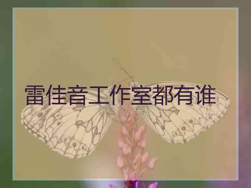 雷佳音工作室都有谁