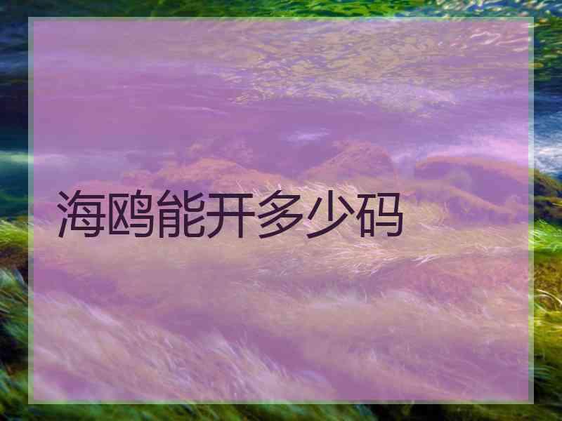海鸥能开多少码
