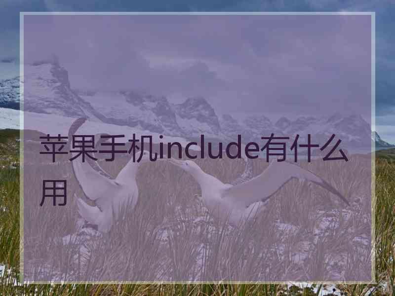 苹果手机include有什么用