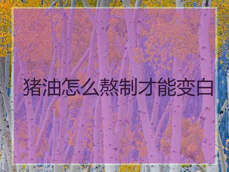 猪油怎么熬制才能变白