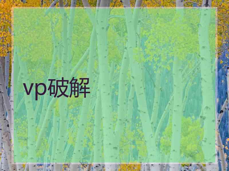 vp破解