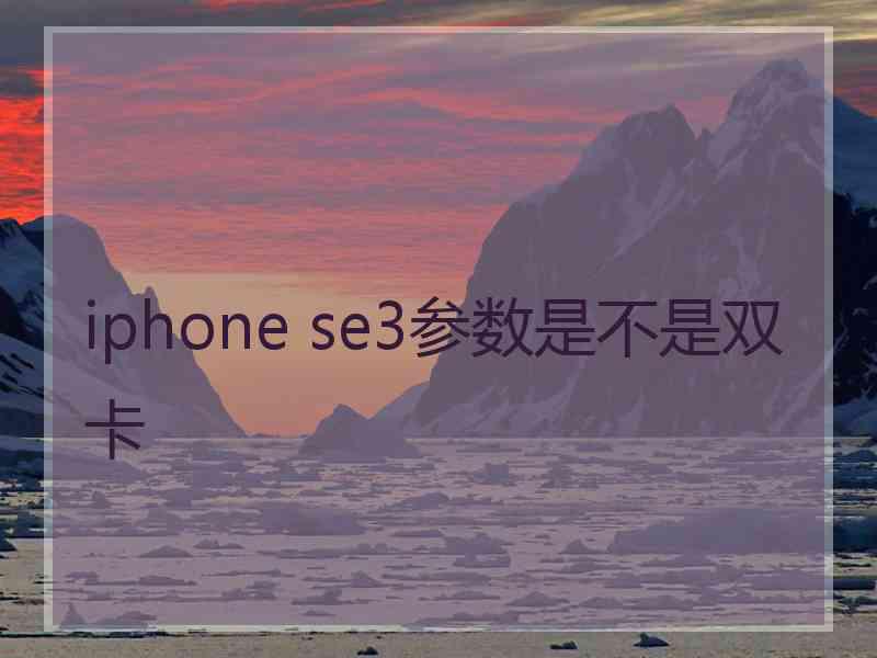 iphone se3参数是不是双卡