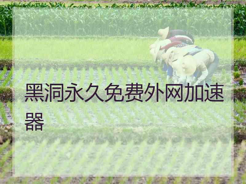 黑洞永久免费外网加速器