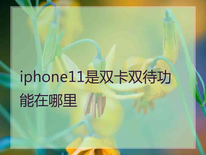 iphone11是双卡双待功能在哪里