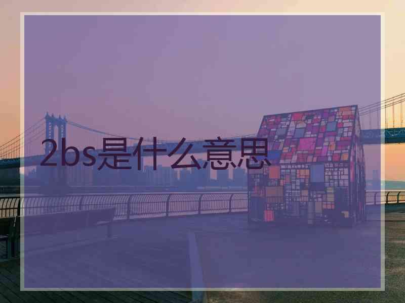 2bs是什么意思