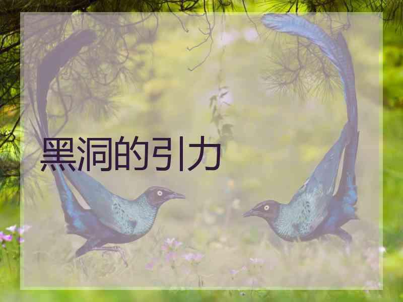 黑洞的引力