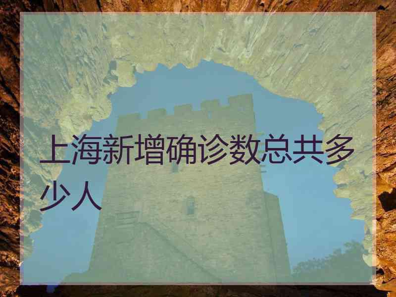 上海新增确诊数总共多少人