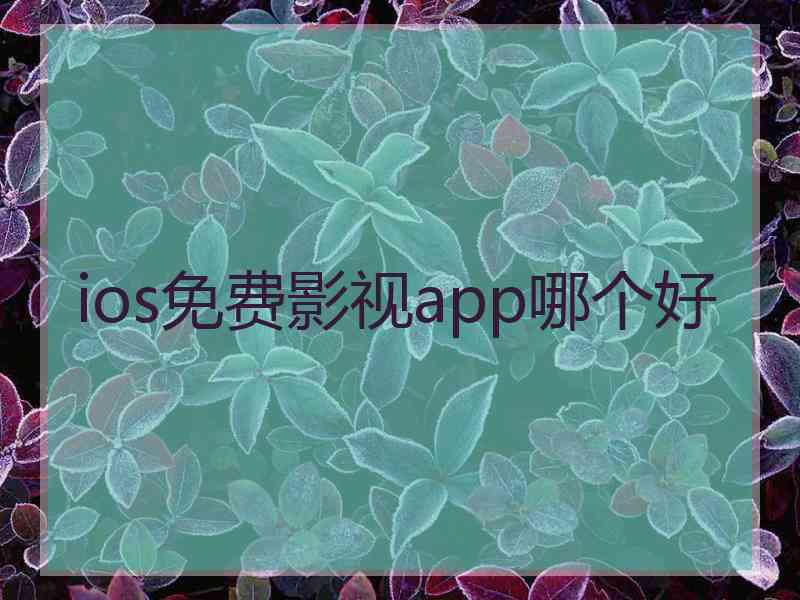 ios免费影视app哪个好