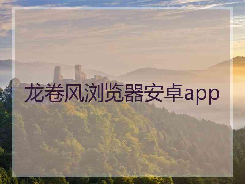 龙卷风浏览器安卓app