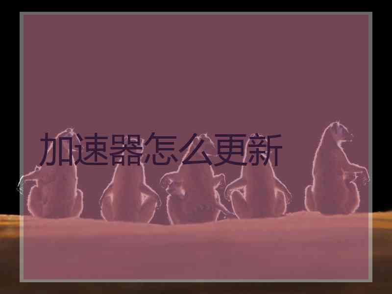 加速器怎么更新