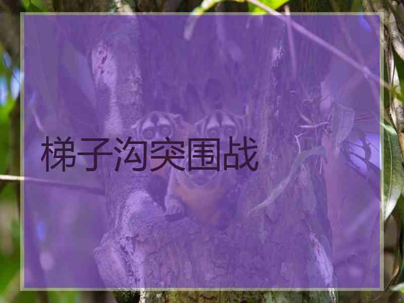 梯子沟突围战