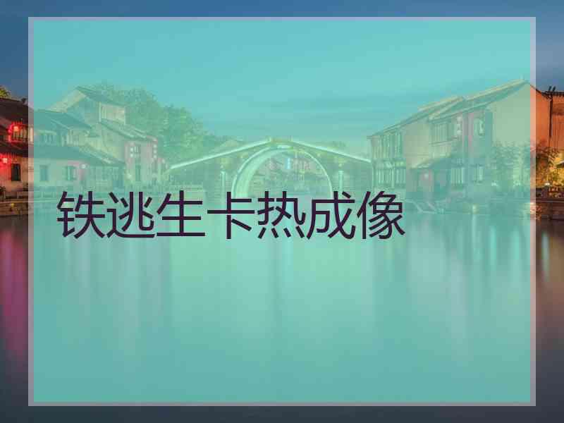 铁逃生卡热成像