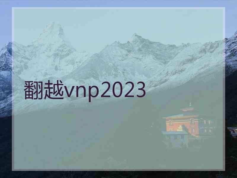 翻越vnp2023