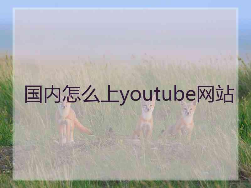 国内怎么上youtube网站