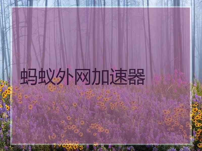 蚂蚁外网加速器
