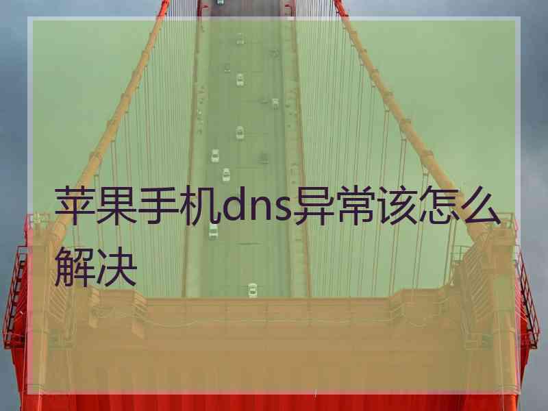苹果手机dns异常该怎么解决
