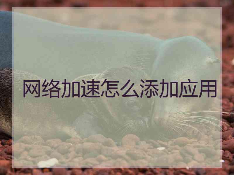 网络加速怎么添加应用