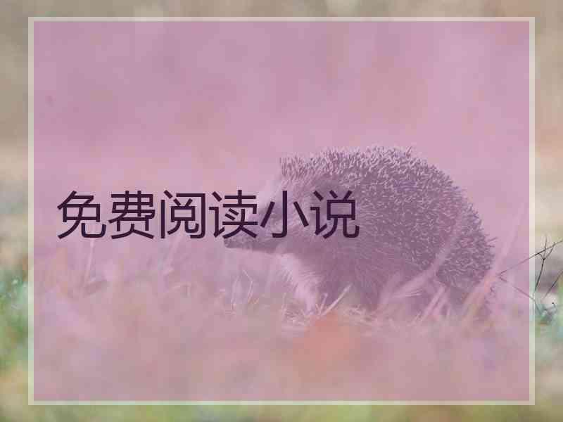 免费阅读小说