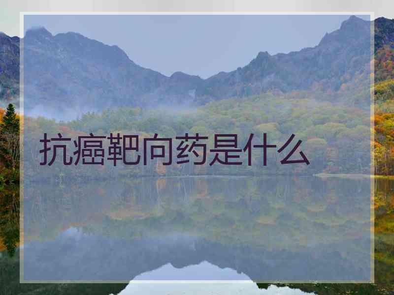 抗癌靶向药是什么