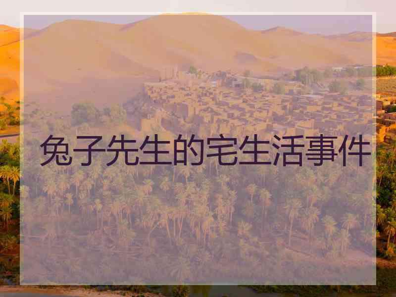 兔子先生的宅生活事件