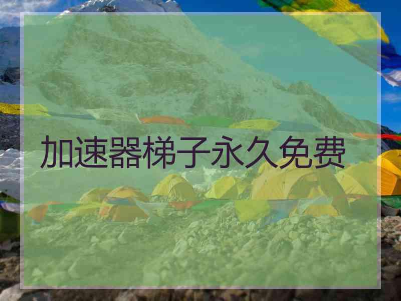 加速器梯子永久免费