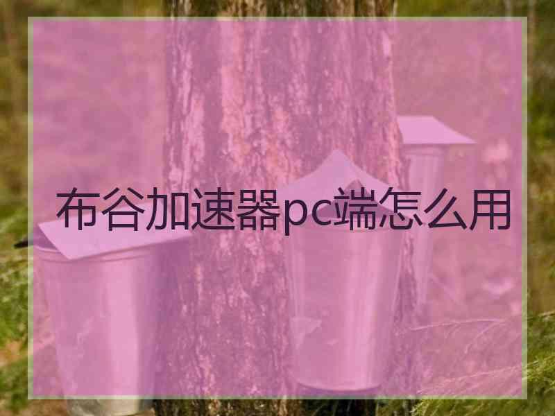 布谷加速器pc端怎么用