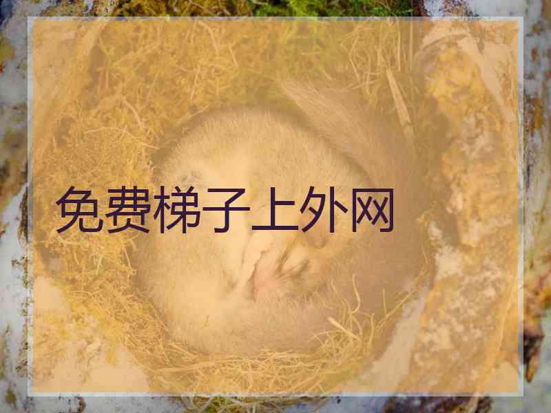 免费梯子上外网